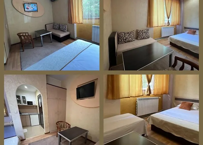 семеен русалка 3* Svishtov