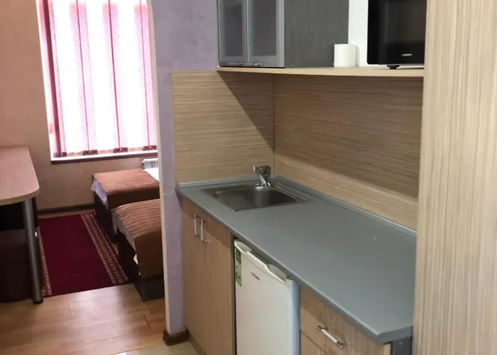 семеен русалка Hotel Svishtov