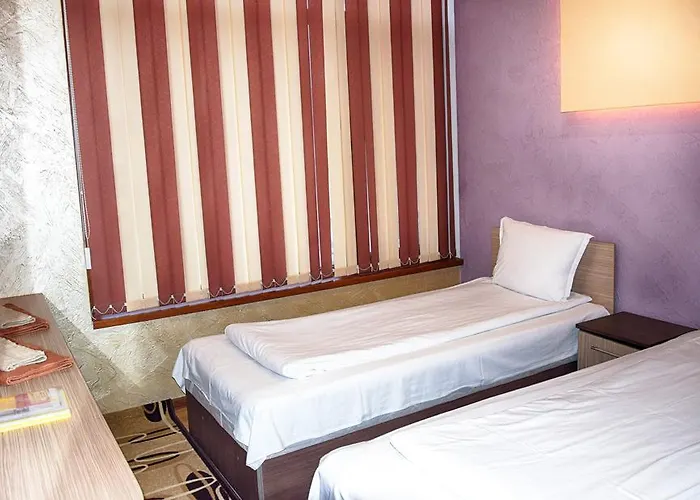 семеен русалка Hotel Svishtov